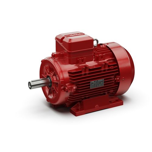 Moteur asynchrone - IRSD series - I-MAK Réducteurs - triphasé / 380V / 220 V