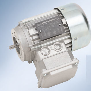 Moteur EC - Walther Flender - 400V / ATEX / antidéflagrant