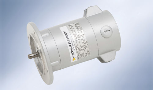 Moteur synchrone - Walther Flender - triphasé / 24 V / 12 V