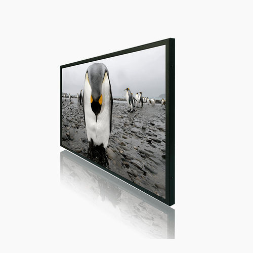 Moniteur LCD - 2706-A series - Litemax Electronics Inc. - TFT / rétroéclairage à LED / 27"