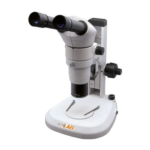 Stéréomicroscope optique - SM 500 series - echoENG - de laboratoire / binoculaire / achromatique plan