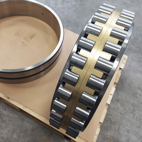 Roulement à rouleaux cylindriques - Evolmec S.r.l. - rigide / à deux rangées / en acier au carbone
