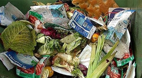 Broyeur déchiqueteur de déchets pour applications industrielles - EMS Machinery