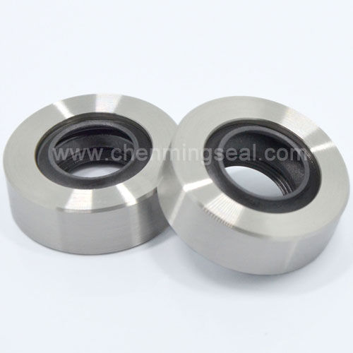 Joint à lèvre - CTL series - Ningbo Chenming Seals Manufacturing Co., Ltd. - en inox / en PTFE / circulaire