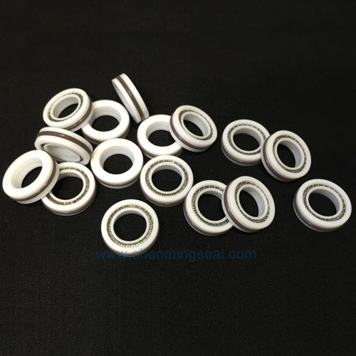 Joint à ressort - RSM series - Ningbo Chenming Seals Manufacturing Co., Ltd. - en PTFE / en U / pour arbre tournant