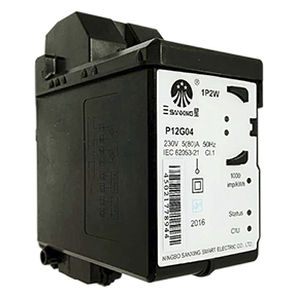 Compteur d'énergie électrique monophasé - P12G04 - Ningbo Sanxing Electric Co., Ltd - sur rail DIN / prépayé