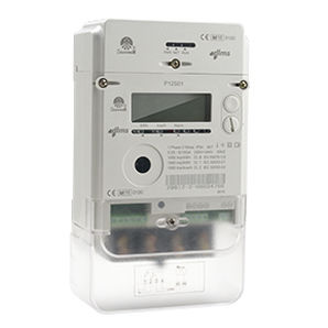 Compteur d'énergie électrique monophasé - P12S01 - Ningbo Sanxing Electric Co., Ltd - mural / numérique / résidentiel