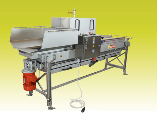 Laveuse de fruits - BRM - Voran