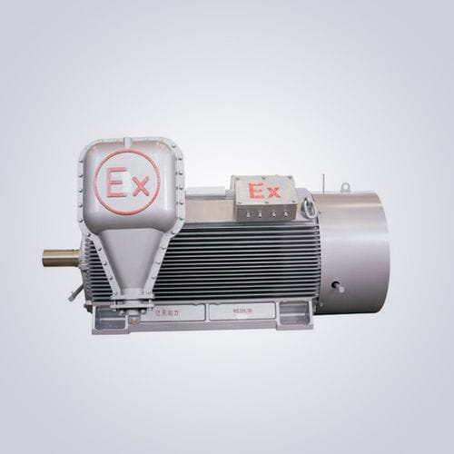Moteur haute tension - YB2 - Jiangsu Dazhong Electric Motor CO., Ltd - asynchrone / triphasé / 6000 V