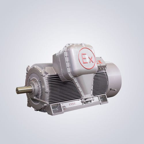 Moteur haute tension - YBKS - Jiangsu Dazhong Electric Motor CO., Ltd - asynchrone / triphasé / 6000 V