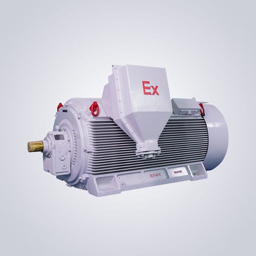 Moteur antiétincelle - Y2W - Jiangsu Dazhong Electric Motor CO., Ltd - asynchrone / triphasé / 6000 V