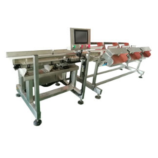 Machine de tri pour l'industrie agroalimentaire - DHWS400*150-4 - Zhuhai dahang intelligent equipment co., LTD - pour process