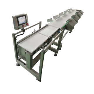 Machine de tri pour process - DHWS400*150-4 - Zhuhai dahang intelligent equipment co., LTD