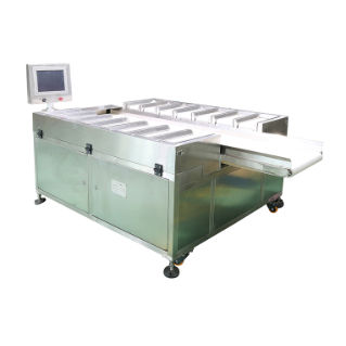 Doseur-mélangeur à bande - DHPZ-400*150-14 - Zhuhai dahang intelligent equipment co., LTD - pondéral / pour l'industrie agroalimentaire / haute précision