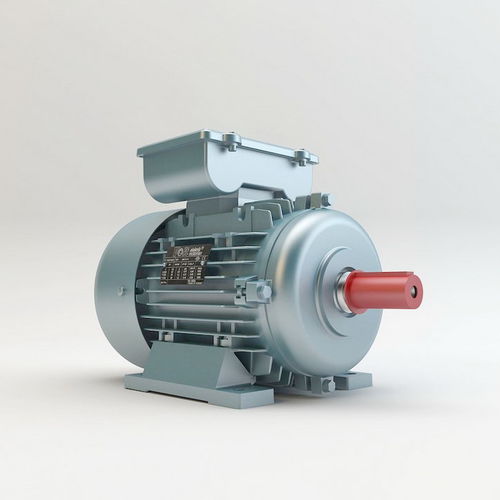 Moteur asynchrone - VM100 - Volt Elektrik Motor - AC / monophasé / 220 V