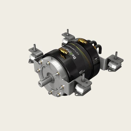 Moteur asynchrone - BV series - Transfluid - DC / industriel / pour propulsion