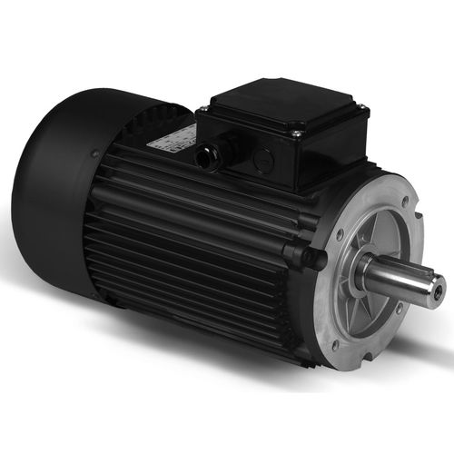 Moteur asynchrone - ORANGE 1 ELECTRIC MOTORS SPA - monophasé / triphasé / 400V