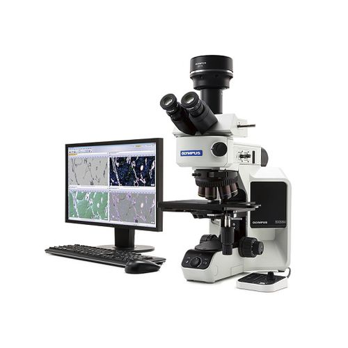 Microscope droit - BX53M - Evident - Olympus Scientific Solutions - optique / de mesure / industriel