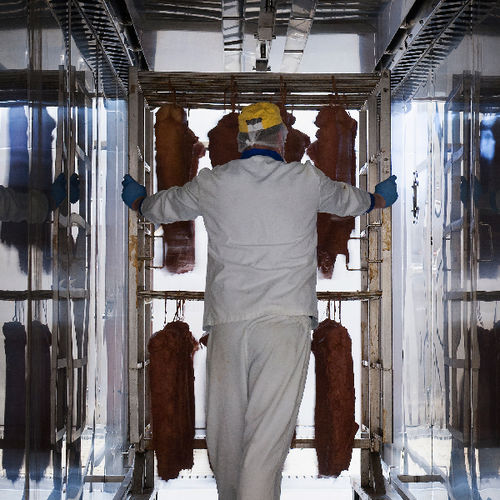 Cuiseur industriel électrique - Emerson Technik SRL - pour viande / automatique