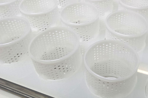 moule alimentaire de fromage