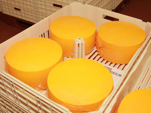 Caisse-palette en plastique - FIBOSA - pour la maturation du fromage / ventilée