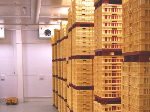 Chambre de maturation pour fromage - FIBOSA - sèche / pour l'industrie agroalimentaire