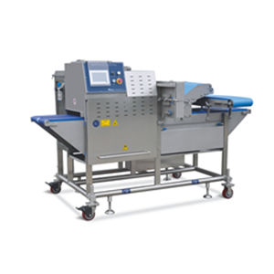 Trancheuse à viande - IFQJ2 series - Hiwell Machinery Co., Ltd. - pour poisson / automatique / à lame de scie à ruban