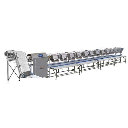 Calibreur pour poisson - MC Marine - MARELEC Food Technologies BVBA - pour viande / à bande
