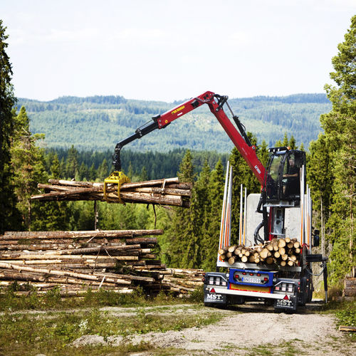 Grue forestière à flèche articulée - 1188S series - Hiab - sur camion