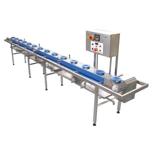 Convoyeur à chaînes - Riggs Auto Pack Ltd - de transport / modulaire / pour l'industrie agroalimentaire