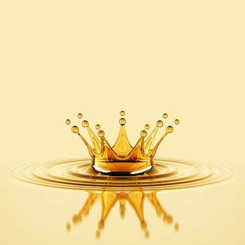 Lubrifiant solide lubrifiant - KARLIFOOD SP 2 - MYLUBRICANTS - synthétique / pour roulement / pour chaîne