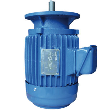 Moteur à induction - AEVH  - Varitron Eng. (Taiwan) Co. Ltd - triphasé / en fonte / à cage d'écureuil