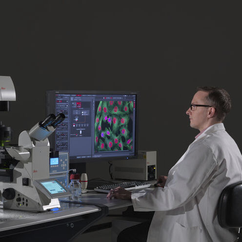 Logiciel d'imagerie - LAS X Life Science - Leica Microsystems GmbH - pour microscope / Windows