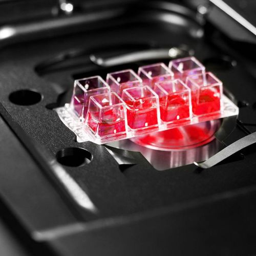 Logiciel pour microscopie - HCS A - Leica Microsystems GmbH