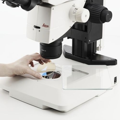 Éclairage à LED - TL3000 Ergo, TL5000 Ergo - Leica Microsystems GmbH