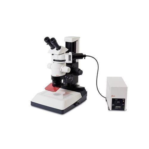 Stéréomicroscope optique - MZ10F  - Leica Microsystems GmbH - pour la recherche / à fluorescence / à zoom