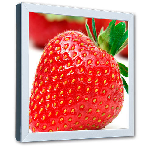 Moniteur LCD - SL-Line 19" - Data Display GmbH - TFT / 19" / 1280 x 1024