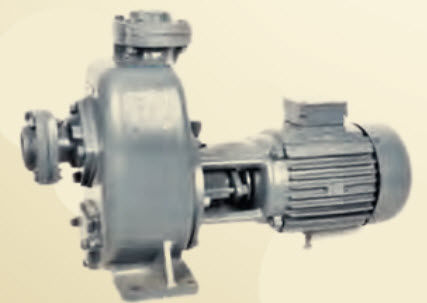 Pompe centrifuge - GMP-M series - Expert Engineering - à boue / électrique / industrielle