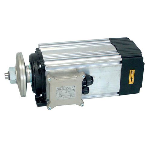 Moteur à induction - 020 series - Nuova Mondial mec srl - AC / 400V / 690 V