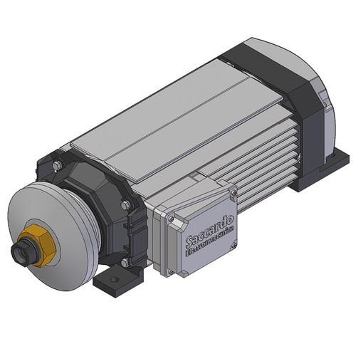 Moteur à induction - 0207 series - Nuova Mondial mec srl - AC / 220 V / 400V