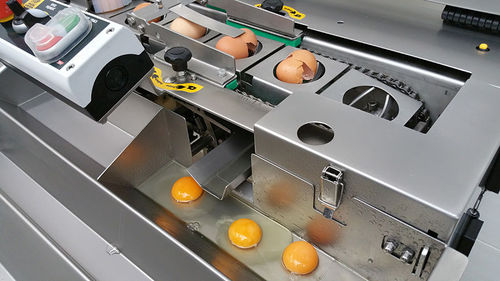 Casseuse d’œufs - RZ series - Dion Engineering
