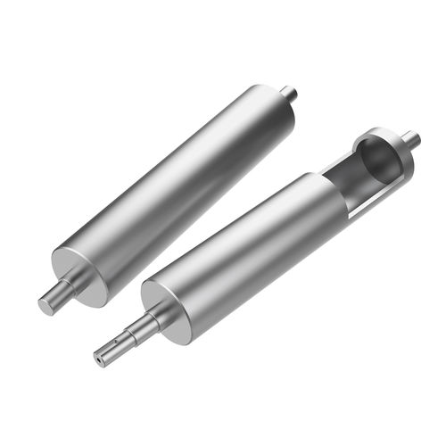 Rouleau de convoyeur en inox - BP-D Series - DAMON Industrial Europe Srl - pour charges lourdes