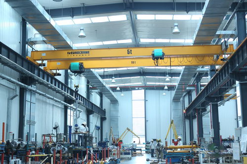 Pont roulant monopoutre - 00024 - Eurocrane(China)Co.,Ltd - léger / profilé en acier