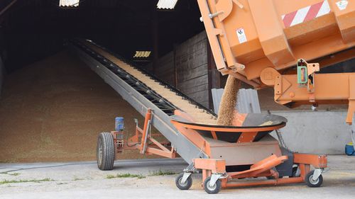 Convoyeur pour produits en vrac - SAUTEC - à bande / de manutention / de chargement