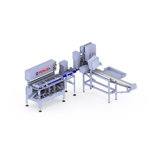 Machine à couper en filets pour poisson - PASFF 110 - PERUZA limited liability company