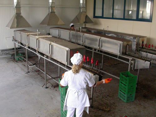 Four tunnel - Thermohran Engineering JSC - de cuisson / électrique / en inox