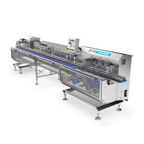 Convoyeur à bande - BFR Systems - à accumulation / automatique / à viande