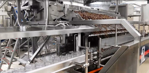 Machine de remplissage de boîtes de conserve - FL-04 - F.B.L. Food Machinery S.r.l. - pour récipients en verre / pour granules / pour produits alimentaires