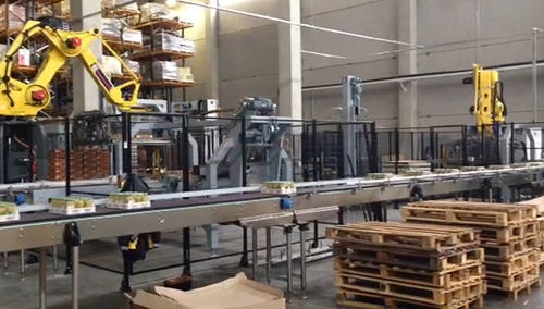 Palettiseur et dépalettiseur robotisé - FL-PAL_DEPAL - F.B.L. Food Machinery S.r.l. - de paquets / pour l'industrie agroalimentaire
