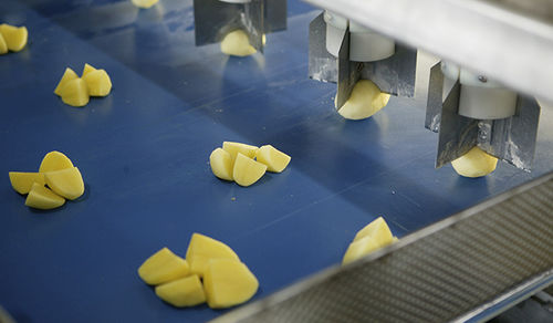 Coupeuse de légumes de pommes de terre - Eagles eye - Finis Foodprocessing Equipment B.V.